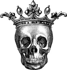 Vintage image human skull