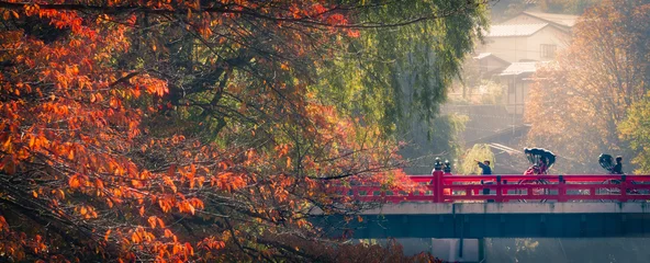 Rolgordijnen herfstochtend in Takayama © fkruger