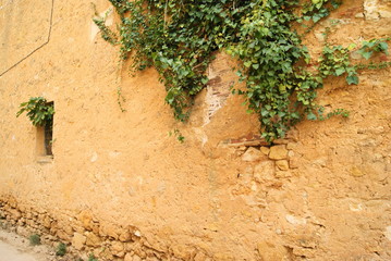 Naklejka premium stone texture of old wall