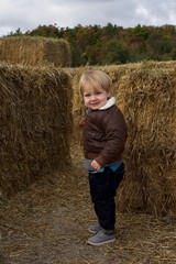 Naklejka na ściany i meble adorable young toddler boy standing by haystacks on farm in fall autumn season