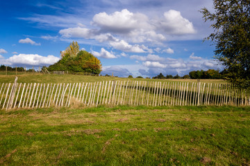 Fototapeta premium Fence me In