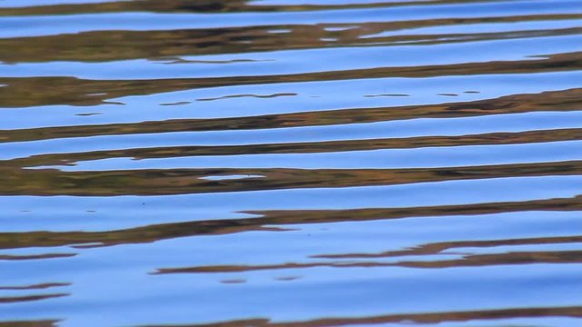 青空を反射する水面