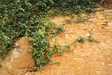 stone texture of old wall