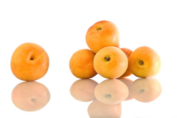 Apricots on a white background
