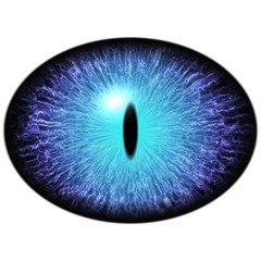 Isolated blue eye. Big elliptic eye with striped iris and dark thin elliptic pupil