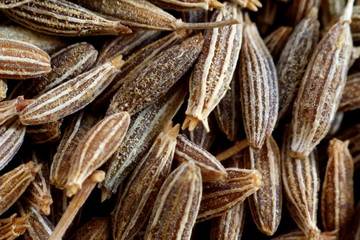 cumin seed closeup