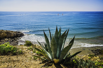 Sea landscape © Olivia