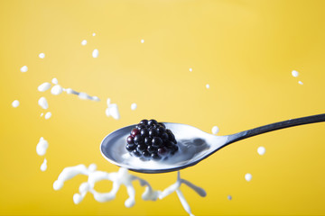 blackberry falling on a spoon of milk / splash portrait of  spoon with blackberry and milk