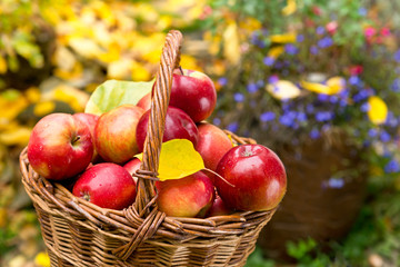 apples