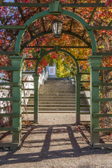 Pergola In The Autumn Park