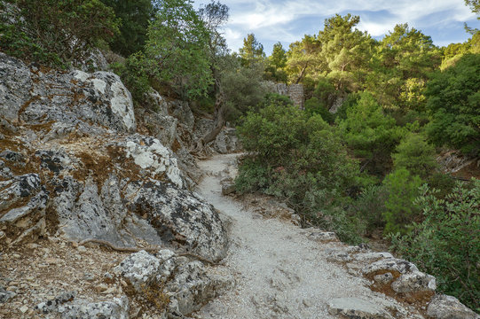 Rhodes Island, Greece. Road to the Seven Springs (Epta Piges). The seven bubbling springs generate water, culminating in a small  lake that provides  habitat to tortoises, eels, crabs and  fish.