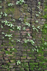 wall texture in thailand