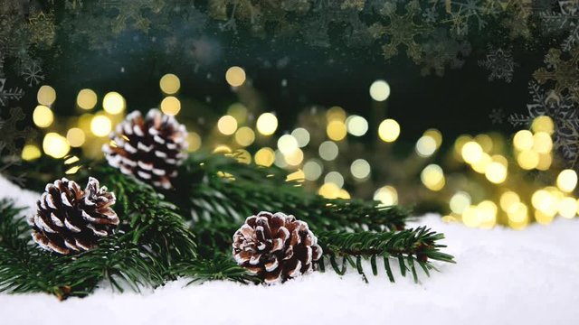 Tannenzweig im Schnee - gr&uuml;n