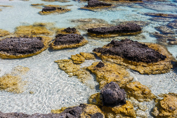 Rocks near the shore at Elafonisi beach. Crete. Greece.