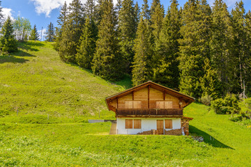 Beautiful Swiss mountain valley landscape with a single house.