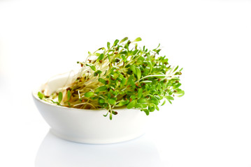 Fresh sprouts of alfalfa on white background