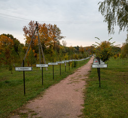 Chernobyl Sperrzone
