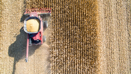 Agricultural Harvesting Corn with a Combine