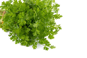 Bunch of fresh coriander leaves over white background.