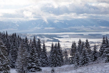 Winter mountain landscape in  Tatras. Slovakia.