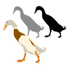 Peking duck style vector illustration Flat set