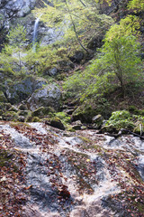 La camosciara presso Pescasseroli