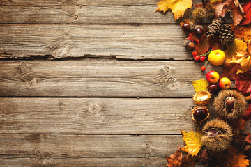 Thanksgiving autumnal background