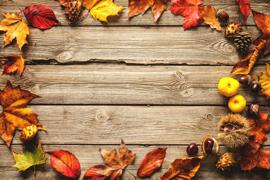 Thanksgiving autumnal background