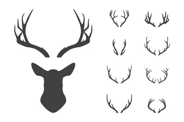 Rolgordijnen Deer s head and antlers set. © gomolach