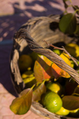 Cesta d'autunno