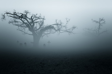 Dark Horror Forest  gravestone background.