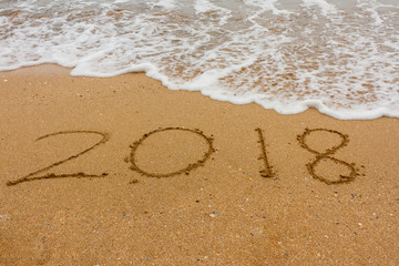 New year 2018