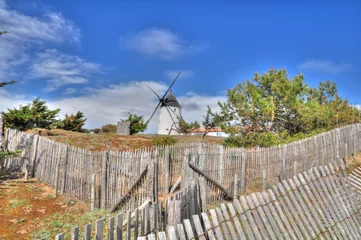 Foto op Plexiglas Molens Mooie windmolen op het eiland Noirmoutier in de Vendée