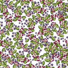 Seamless pattern. blue and red Berry  plants. Wallpaper. On white background