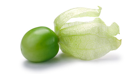 Tomatillo (Physalis philadelphica), paths