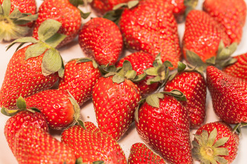  freshly harvested strawberries