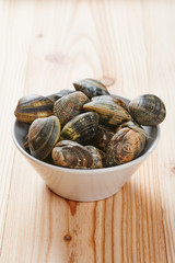Raw clams in white bowl