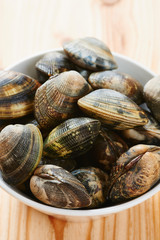 Raw clams in white bowl
