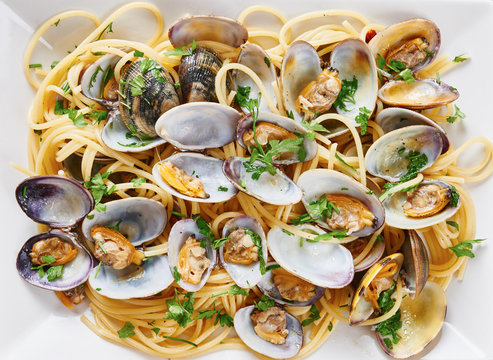 Pasta with steamed clams in white square dish