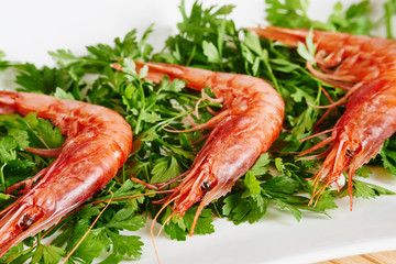 Raw prawns and parsley on white dish