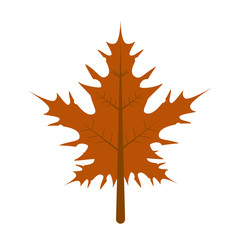 leaf autumn isolated icon vector illustration design