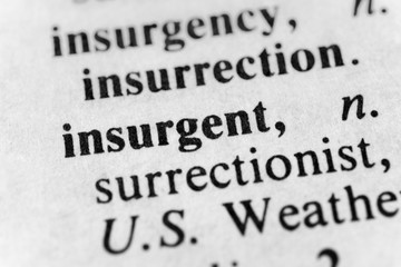 Obraz premium Insurgent