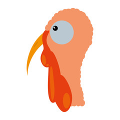 turkey bird thanksgiving icon vector illustration design