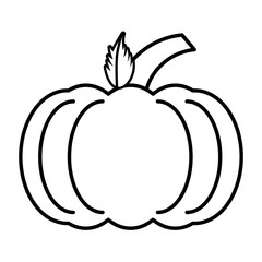 Thanksgiving pumpkin isolated icon vector illustration design