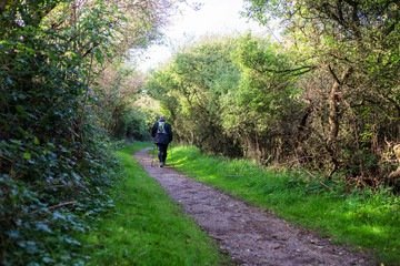 s&eacute;nior marchant dans les bois