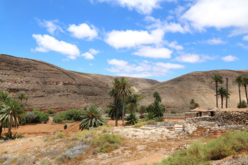 Sommer auf Fuerteventura