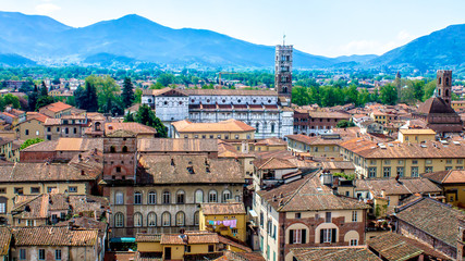 Fototapeta na wymiar cityscape of Lucca, in Tuscany, Italy