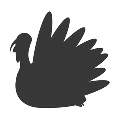 turkey bird thanksgiving icon vector illustration design