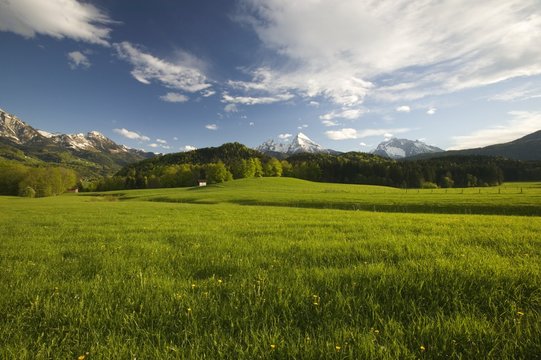 Alpine Meadow, Watzmann Mountain, Berchtesgadener Land, Bavaria, Germany