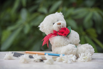 Teddy bear and diary for a memoir .